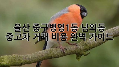 울산 중구(병영1동, 남외동) 중고차 거래 비용 완벽 가이드