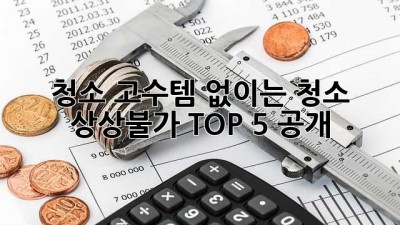 ✨청소 고수템✨ 없이는 청소🙅‍♀️ 상상불가! TOP 5 공개