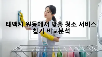 태백시 원동에서 맞춤 청소 서비스 찾기: 비교분석